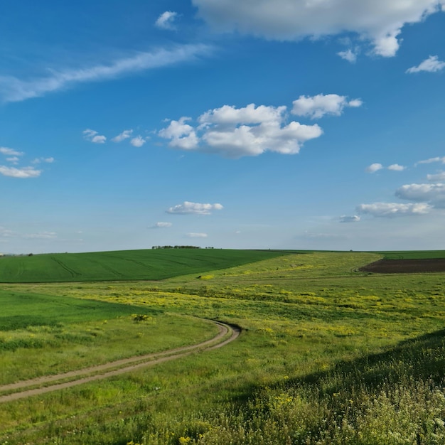 Una strada sterrata in un campo con un cielo blu e nuvole