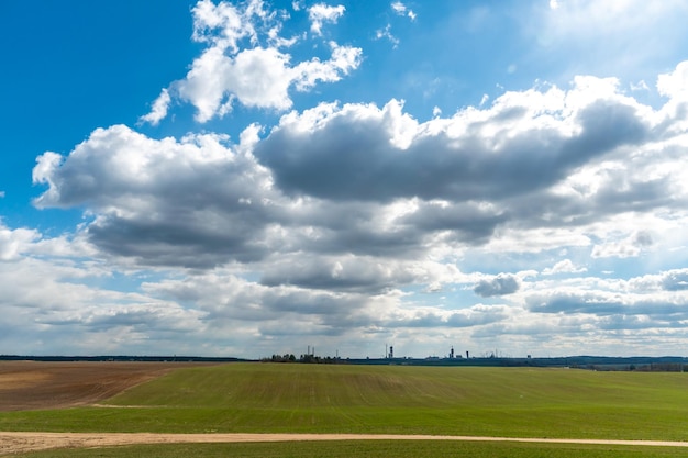 Una strada sterrata in un campo di grano in estate sullo sfondo di nuvole Attività ricreative all'aperto lontano dal trambusto della città