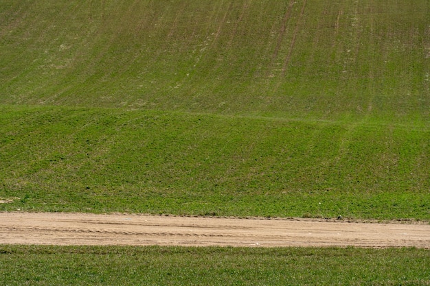 Una strada sterrata in un campo di grano in estate sullo sfondo di nuvole Attività ricreative all'aperto lontano dal trambusto della città