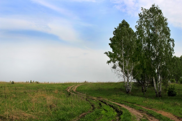 Una strada sterrata in un campo in una giornata estiva