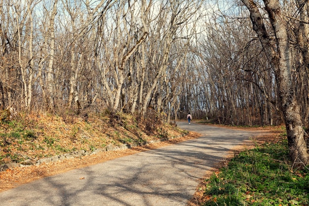 Una strada tortuosa in un parco autunnale con alberi spogli in montagna. Bel paesaggio. Riposo attivo e trekking.