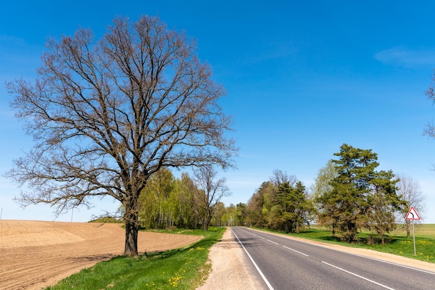 Una strada vuota fuori città passa da alberi che crescono ai lati della strada Viaggiare in auto lontano dalla città e dal trambusto Strada asfaltata in una giornata di sole senza auto