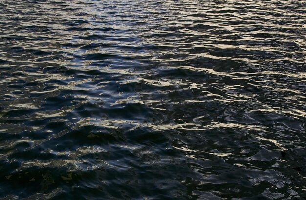 Una superficie d'acqua con un cielo azzurro e poche nuvole