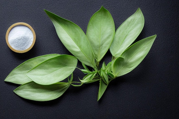 Una tazza di caffè accanto a una pianta verde e un orologio con sopra la parola caffè.