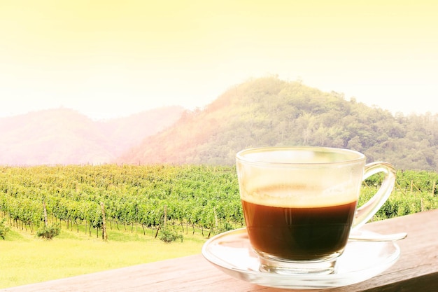 Una tazza di caffè al mattino nella piantagione di caffè