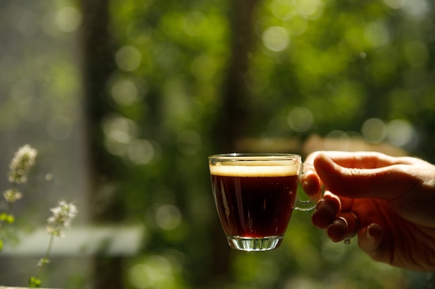 Una tazza di caffè in vetro con caffè espresso vicino alla finestra al mattino su sfondo verde