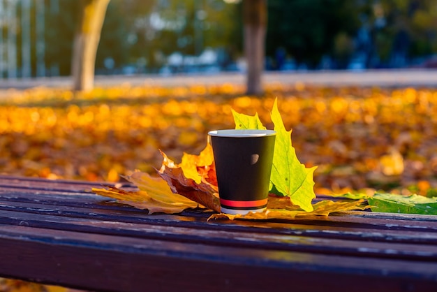 Una tazza di caffè si trova su una panchina con foglie autunnali.