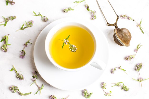 Una tazza di tè con fiori di timo su uno sfondo bianco. La vista dall'alto. Concetto di medicina popolare.