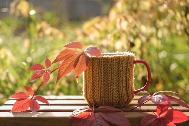 Una tazza di tè con foglie cadute luminose sullo sfondo di un giardino d'autunno