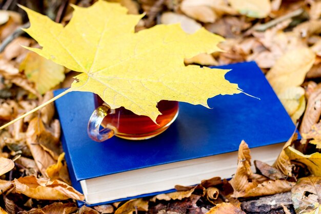 Una tazza di tè su un libro nella foresta di autunno è ricoperta da una foglia d'acero gialla