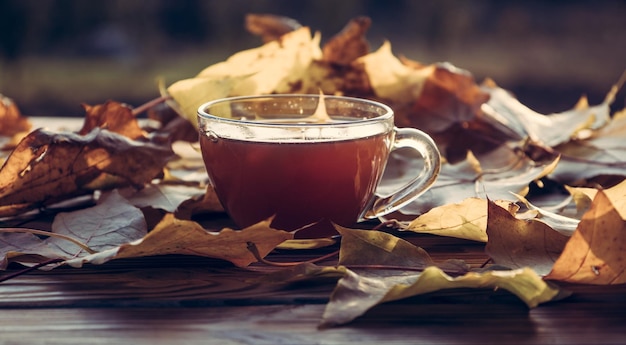 Una tazza di tè vicino alle foglie d'autunno