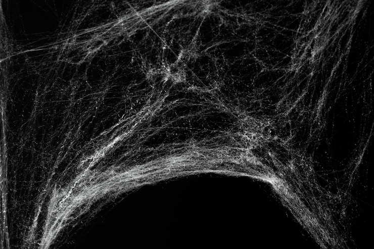 Foto una tela di ragni spaventosa e inquietante coperta da uno sfondo nero sfondo astratto di halloween
