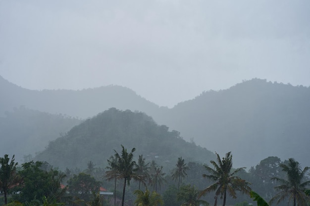 Una tempesta tropicale in un campo di riso con montagne in cascata e palme