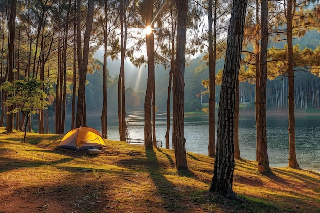 Una tenda gialla è eretta in una foresta vicino a un lago