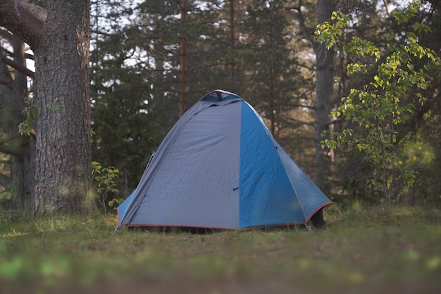 Una tenda in una pittoresca foresta estiva Tema escursionistico