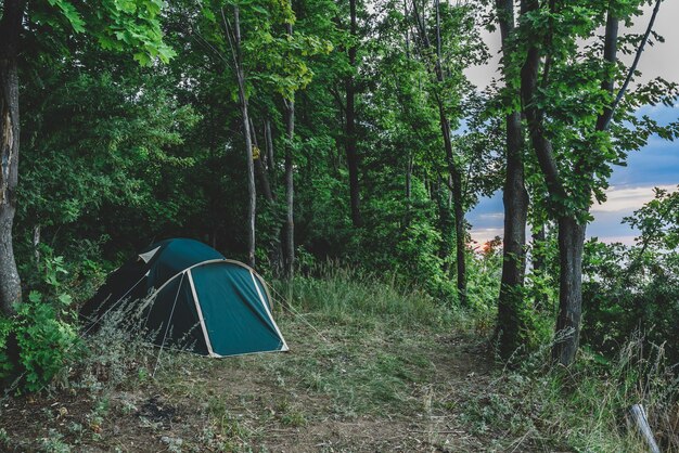 Una tenda verde nella foresta estiva.