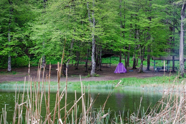 Una tenda viene allestita sulla riva di un lago nella foresta