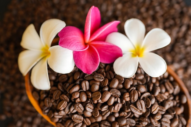 Una torta con dei fiori sopra e un fiore bianco sopra