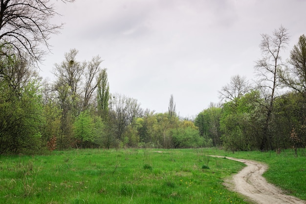 Una tortuosa strada sterrata in una foresta verde in una giornata nuvolosa.