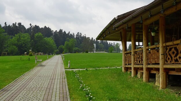 Una trama di cammino e campo verde