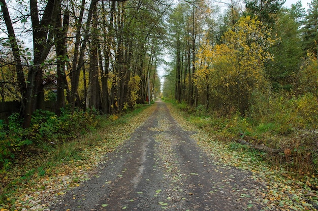 Una tranquilla strada vuota in una mattina d'autunno nella regione di Mosca Russia