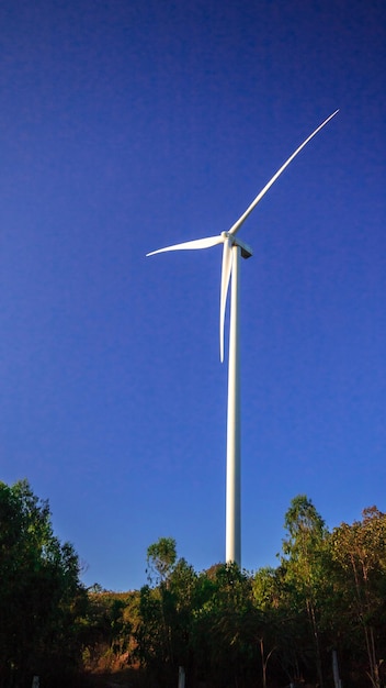 Una turbina eolica è una turbina eolica che preleva l'energia cinetica dal movimento del vento e la converte in energia meccanica. Quindi utilizzare l'energia meccanica per produrre energia elettrica.