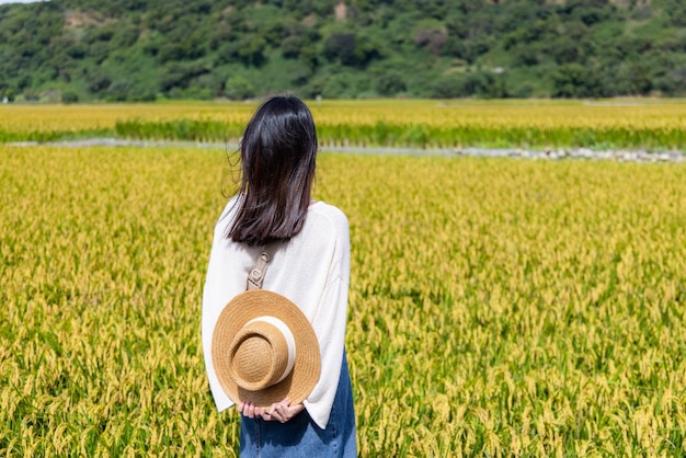 Una turista visita un campo di riso.