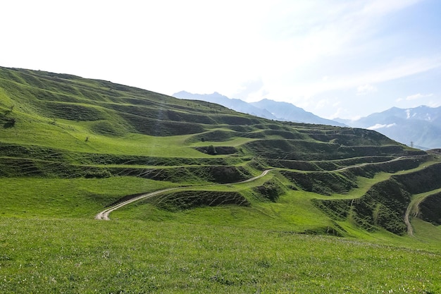 Una valle di montagna nella gola del fiume CherekBalkar nelle vicinanze del tratto di Gymyhli Caucaso 2021