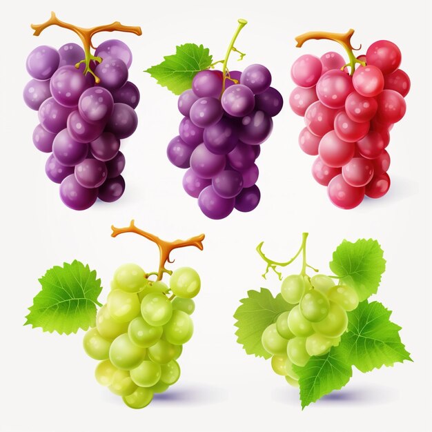 Una varietà di grappoli di uva