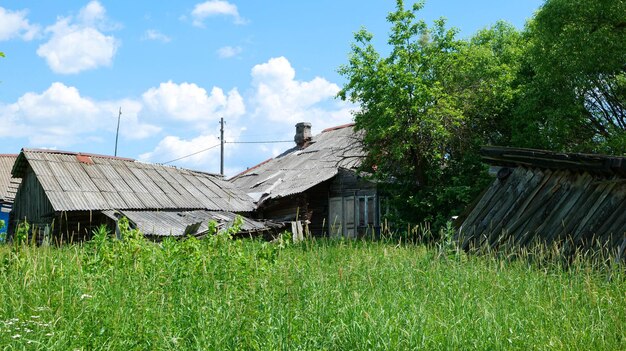 Una vecchia casa abbandonata e in rovina con un fienile di legno caduto, ricoperta di erba, nel villaggio.