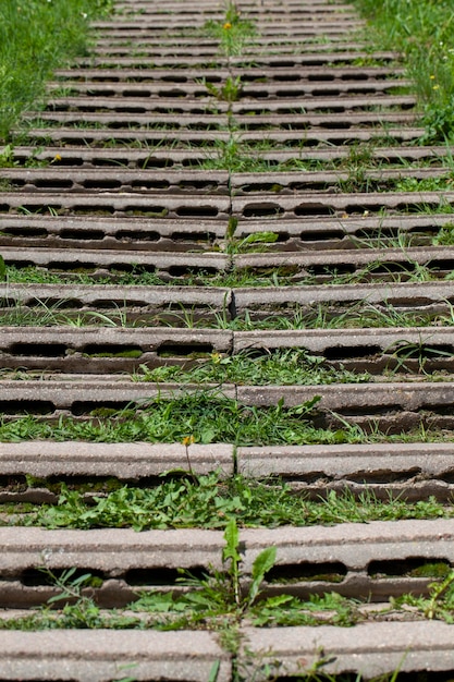 Una vecchia scala in campagna