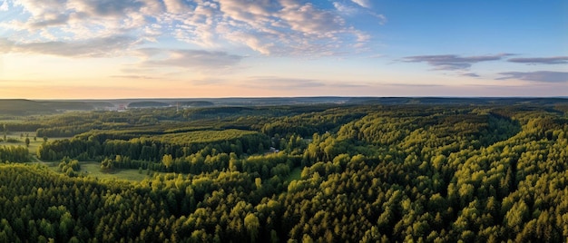 una veduta aerea di una foresta con un tramonto sullo sfondo