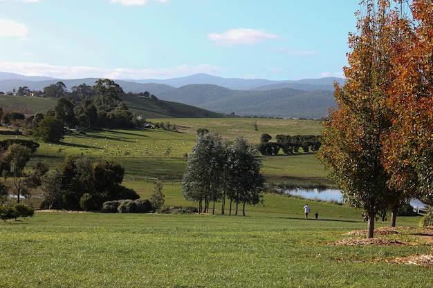 Una veduta della vallata dall'agriturismo