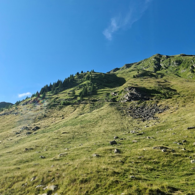 Una verde collina con alberi e rocce