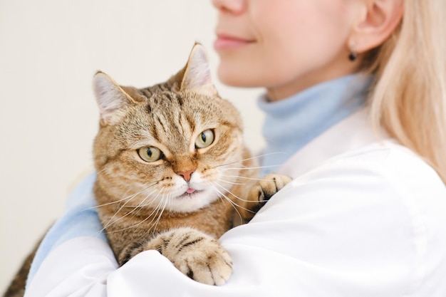 Una veterinaria professionista tiene in braccio un gatto in una clinica veterinaria per un esame