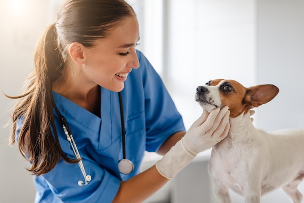 Una veterinaria sorridente esegue un controllo su un cane attento
