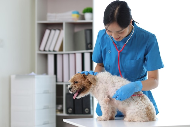 Una veterinaria sta esaminando la salute di un cane nell'ufficio del veterinario