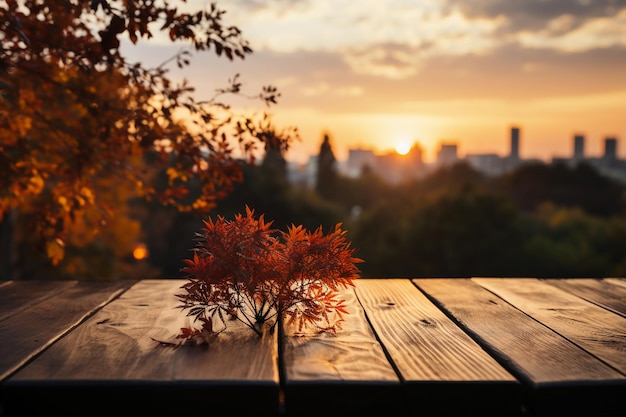 Una vetrina in legno con un cielo dorato al tramonto d'autunno e uno sfondo di foglie per il mare