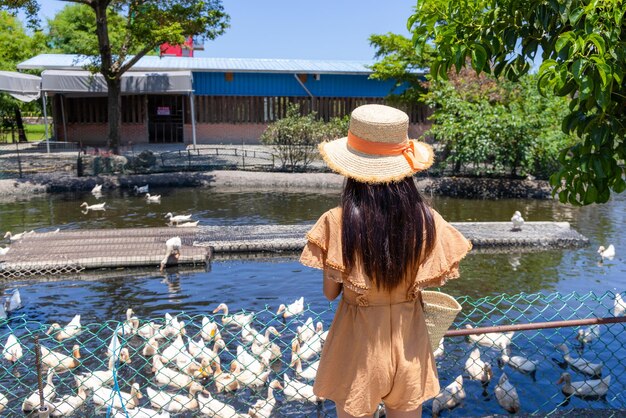 Una viaggiatrice visita la fattoria di anatre locale a Taiwan