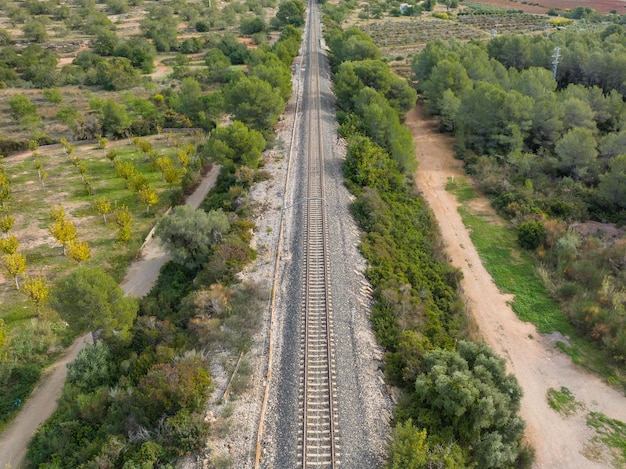 Una vista a lunga esposizione di un binario ferroviario circondato da campi e alberi