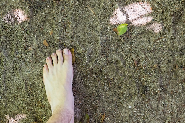 Una vista aerea a piedi nudi sulla superficie della foresta