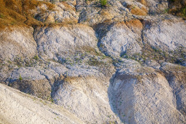 Una vista ariosa e mozzafiato su una pittoresca valle con un bellissimo bosco di conifere e montagne rocciose. Incredibile paesaggio montano atmosferico. Meravigliosi paesaggi naturali maestosi.