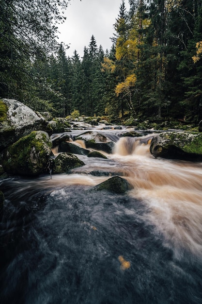 Una vista autunnale di un fiume in una foresta simile all'Alaska. Un ruscello selvaggio o un fiume nel mezzo di una foresta autunnale. Un torrente di montagna con cascate e cascate.