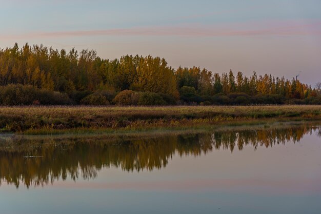 Una vista del fiume e degli alberi al tramonto.