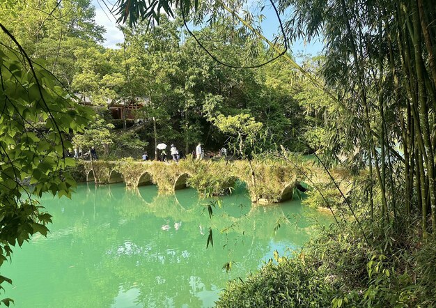 Una vista del fiume e del ponte