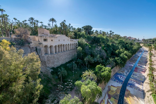 Una vista del giardino Palmeral de Elche nella provincia di Alicante Spagna Patrimonio dell'Unesco