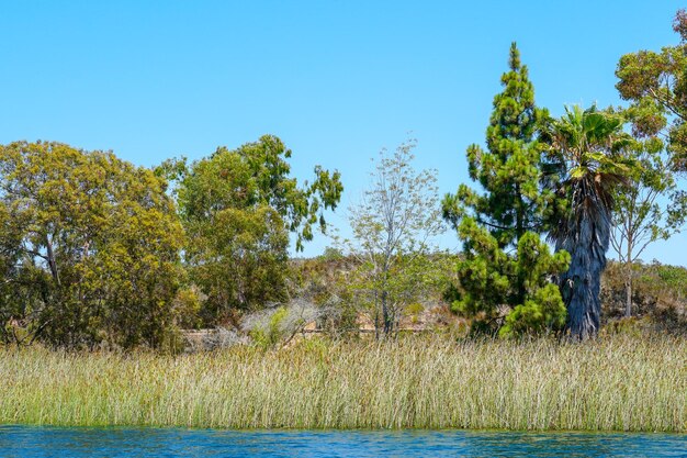 Una vista del lago dall'acqua.