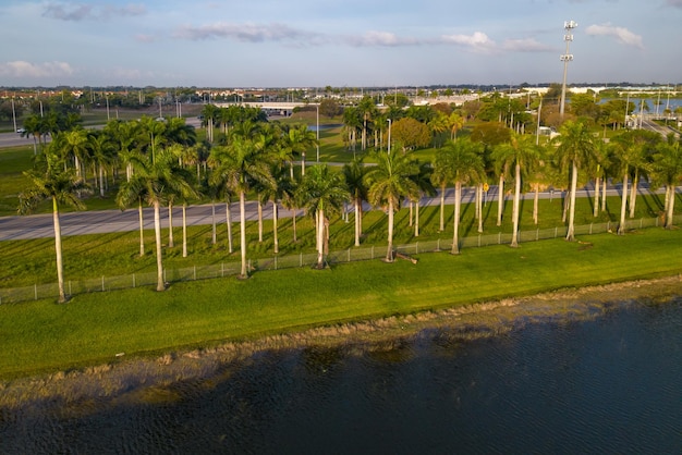 Una vista del lago e delle palme