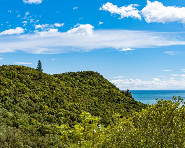 Una vista dell'oceano dalla collina