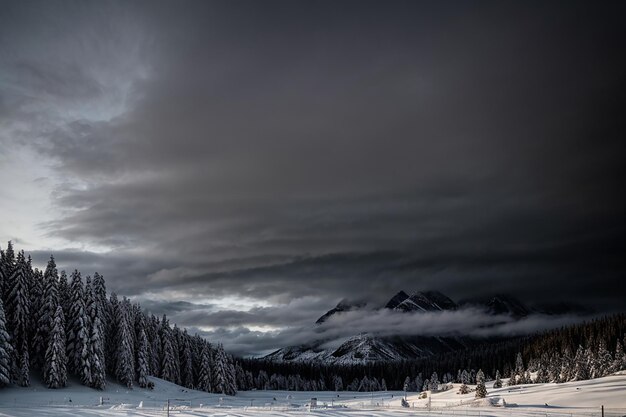 Una vista della foresta nazionale di Chugach sul Prince William Sound Alaska neve ghiacciata in Alaska